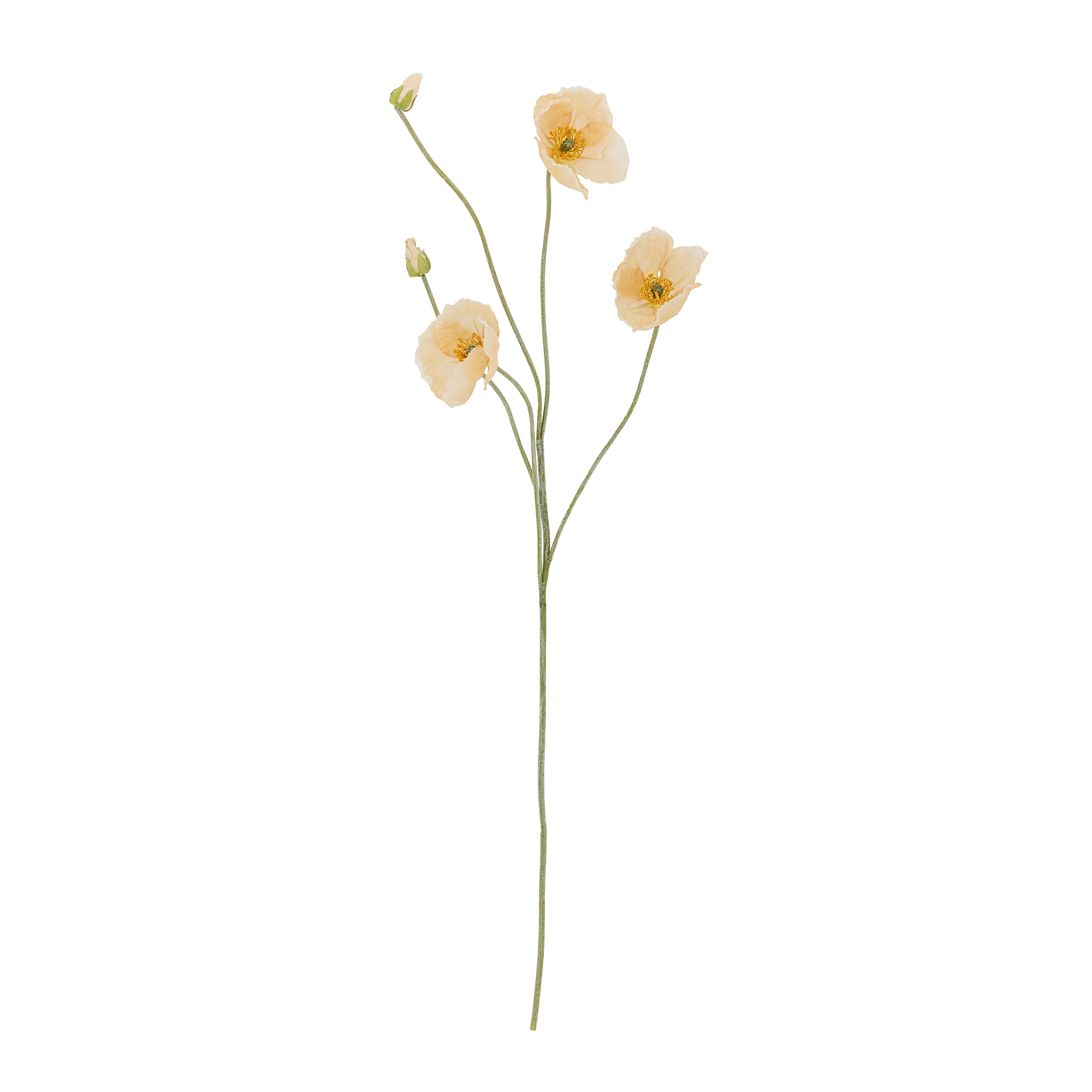 Bloomingville - Poppy Stilk, Natur, Kunstige Blomster, D23xH110 cm