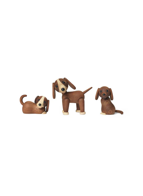 Spring Copenhagen hunden Twix