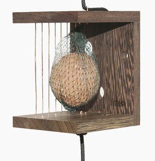 Snoren - Birds Café