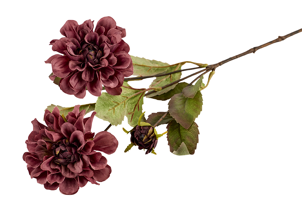 2Have - Silkeblomst Dahlia 60 cm Bordeaux 2+1 blomst