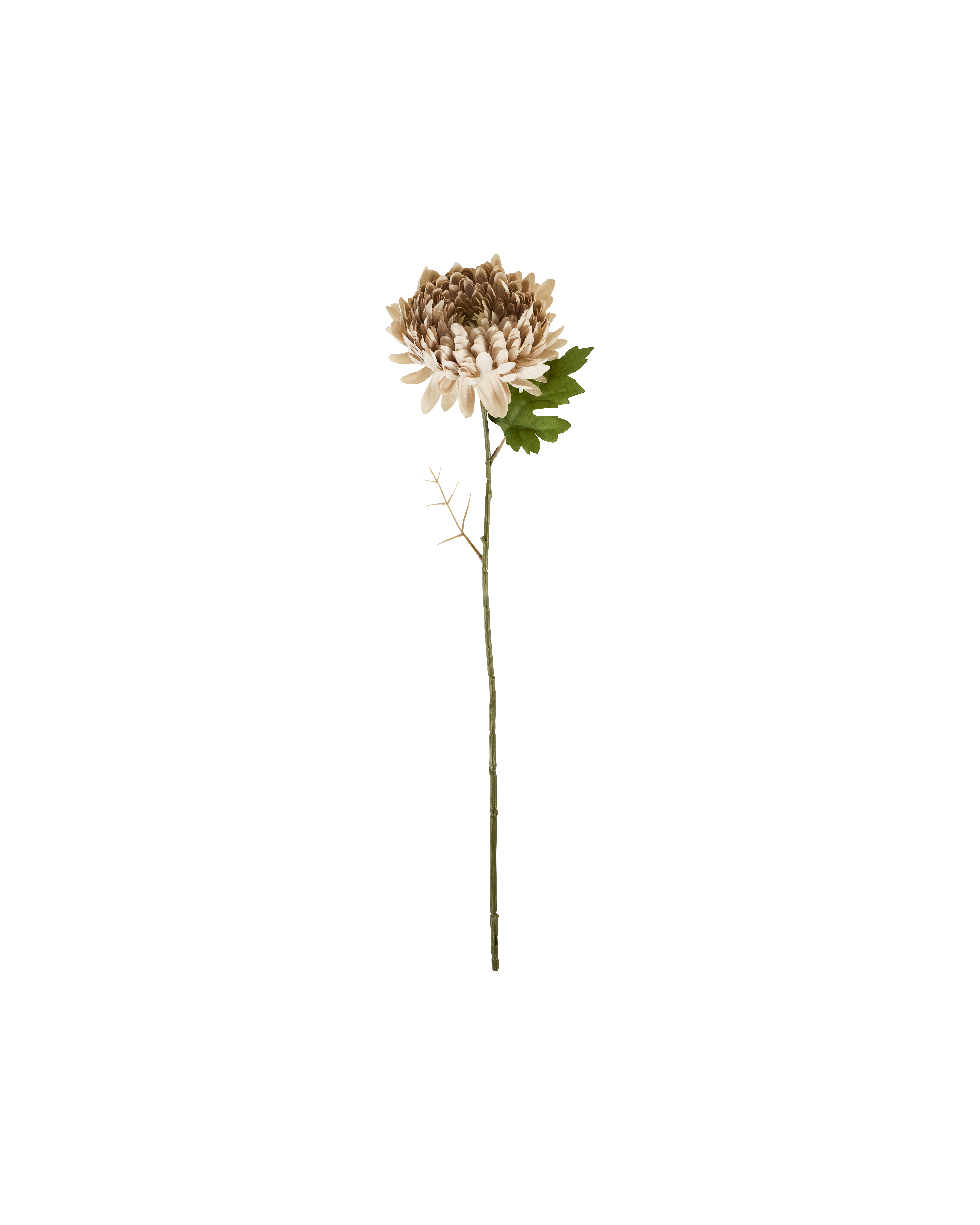 House Doctor - Artificial flower, Chrysanthemum, Støvet rose