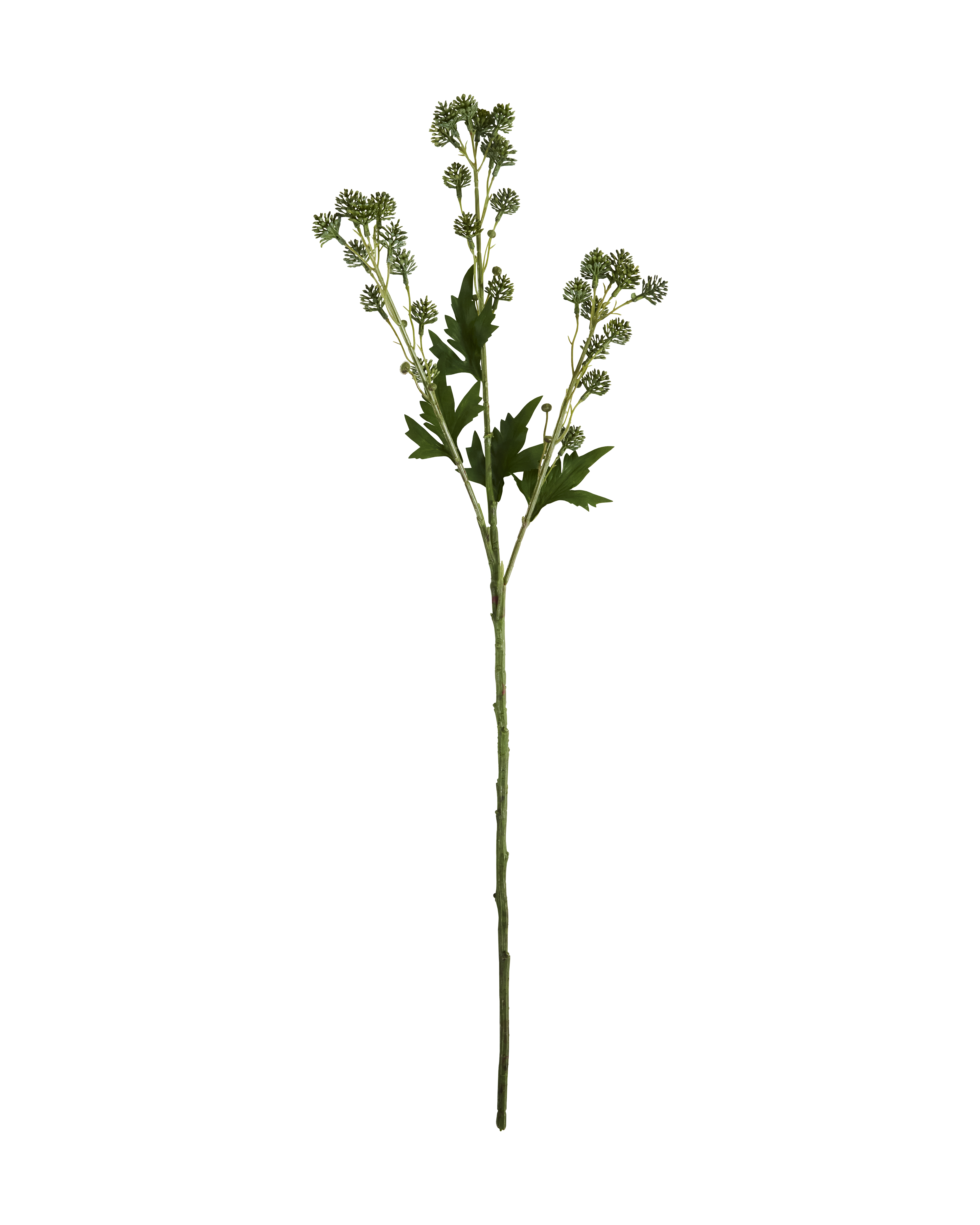 House Doctor - Artificial branch, Sedum, Grøn
