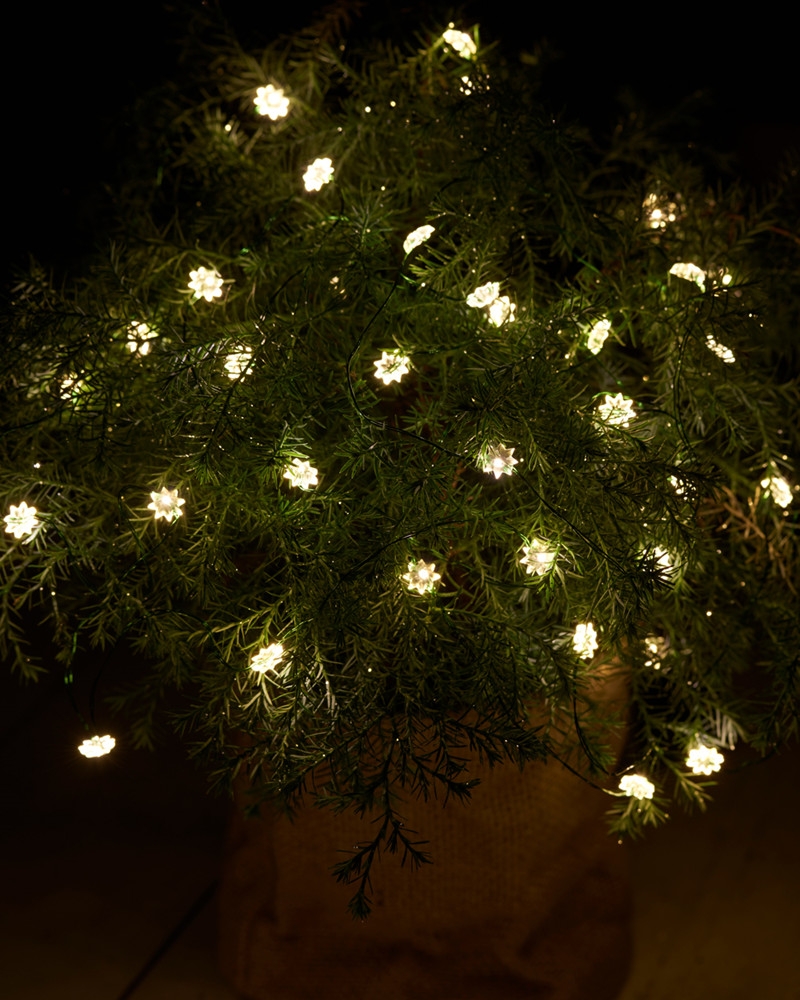 Sirius - Silke miniblomst 40 lys med timer, Klar/Grøn