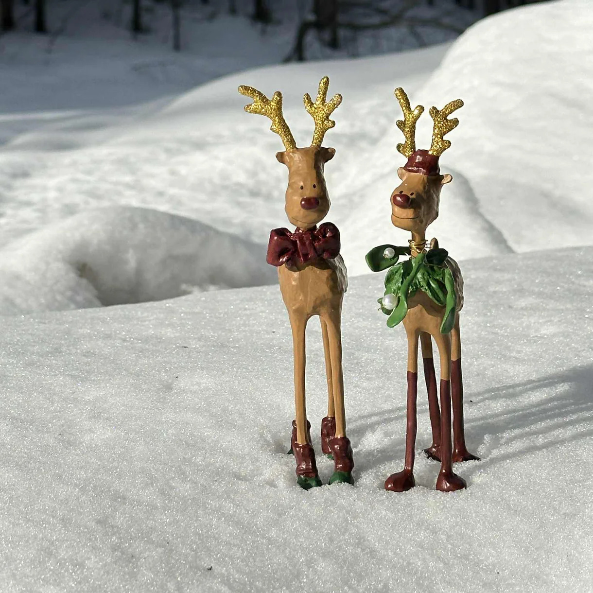 Medusa Copenhagen Hr & Fru Rudolf 2025