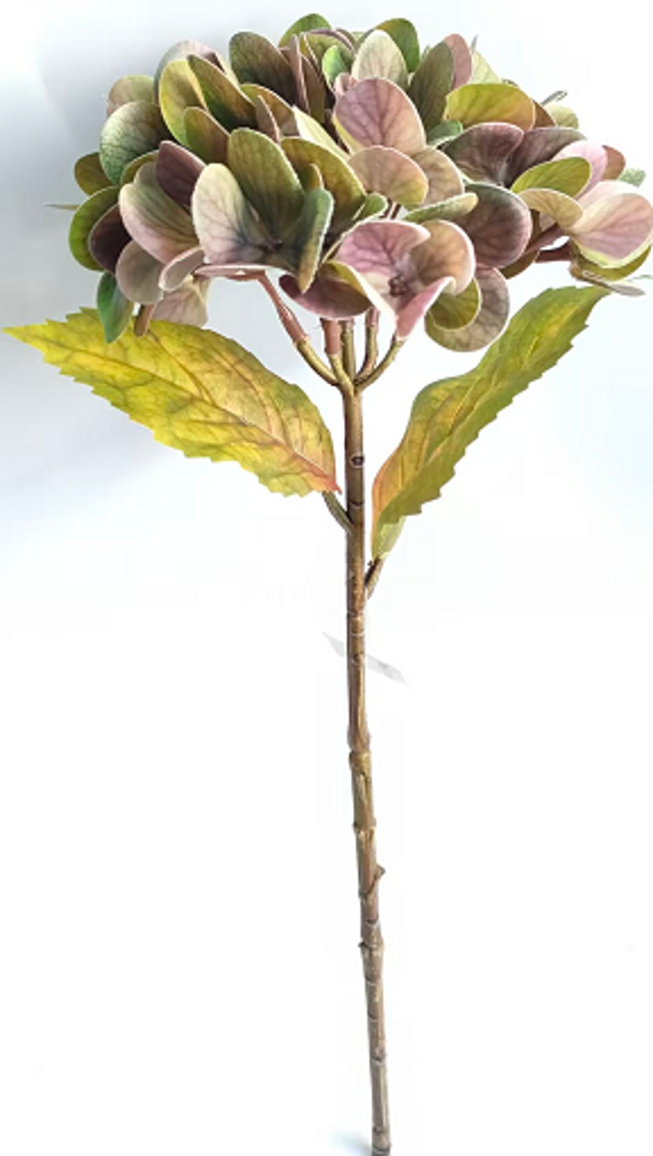 Silkeblomst Hortensia H:46 cm AntikBordeaux
