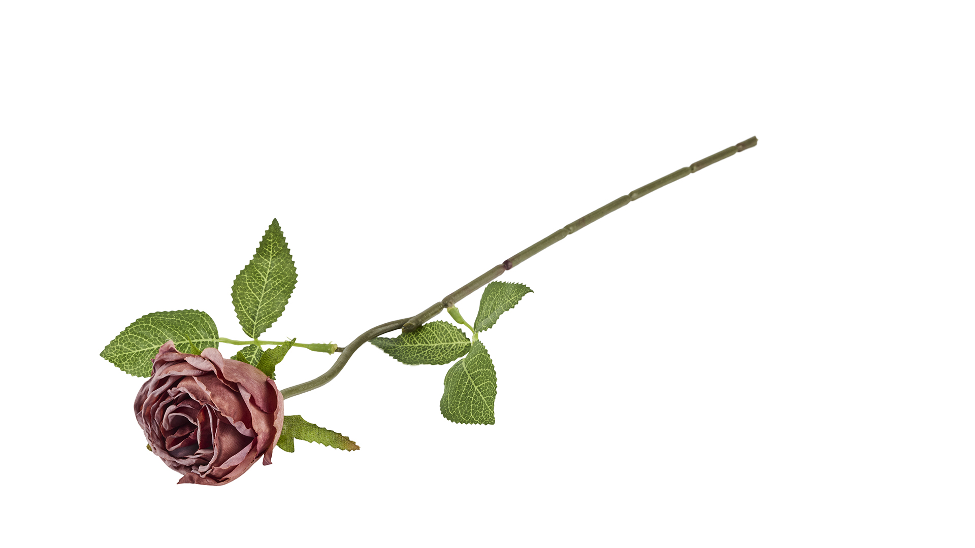 2Have - Silkeblomst Rosenknop Antik 30 cm Bordeaux