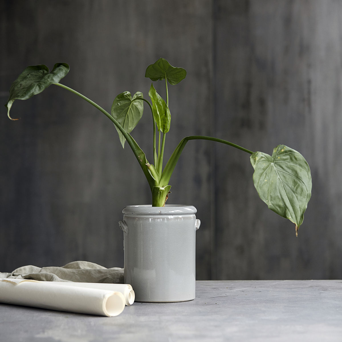 Urtepotte, Pottery M, lysegrå