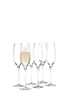 Holmegaard - Cabernet Champagneglas 29 cl klar 6 stk.