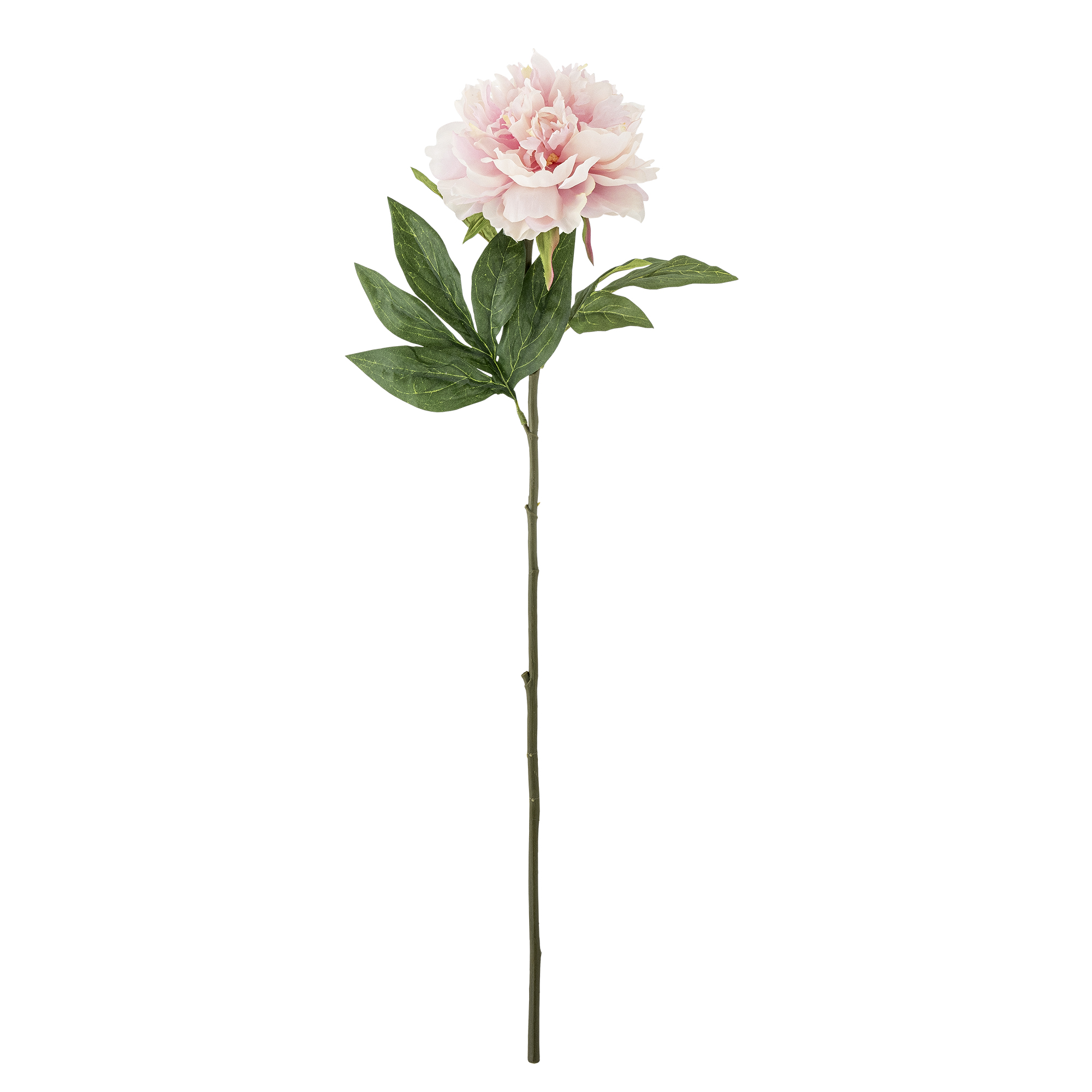 Bloomingville - Peony Stilk, Rosa, Kunstige Blomster, D20xH66 cm billede
