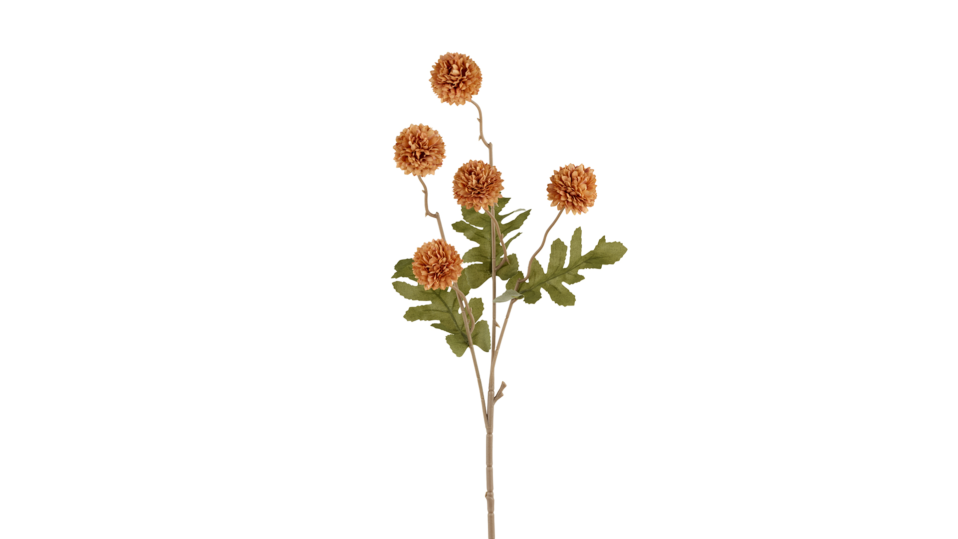 Silkeblomst Chrysantemum 50 cm Orange