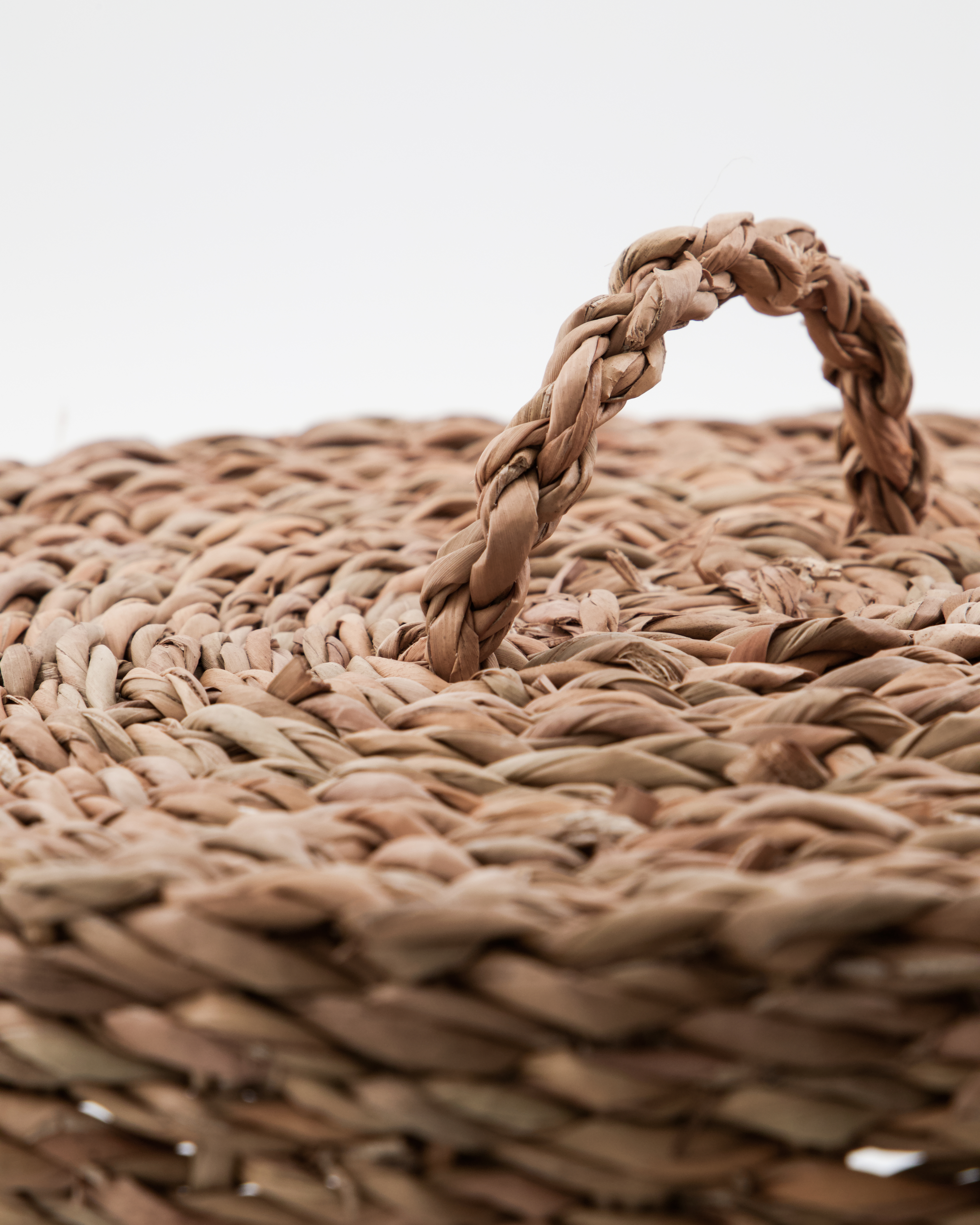 Opbevaringskurve, Rangi, Brun