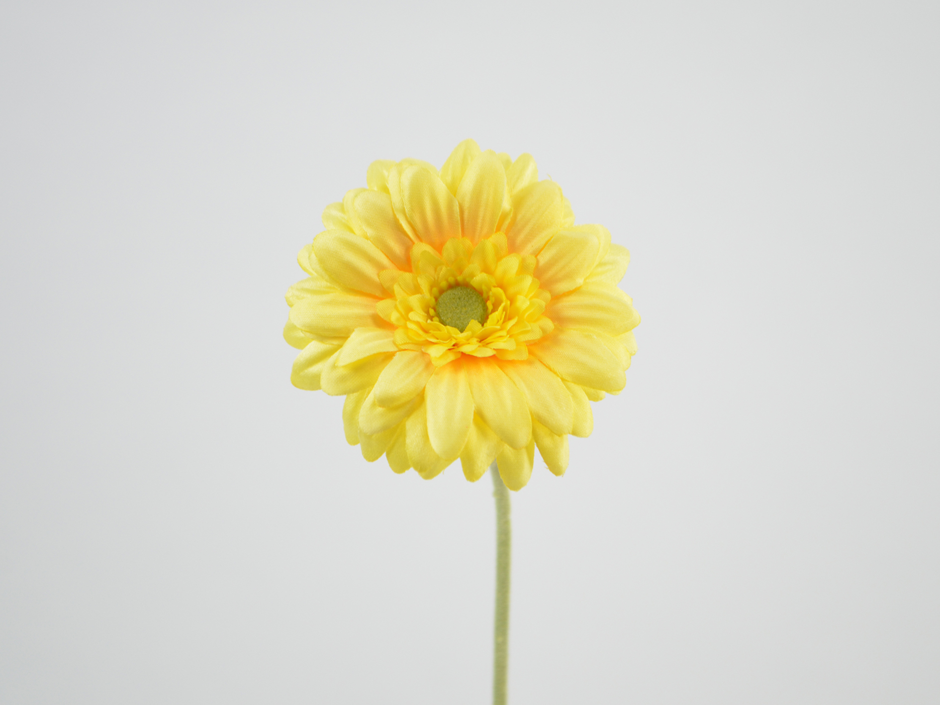 Gerbera x 1, 47 cm, yellow