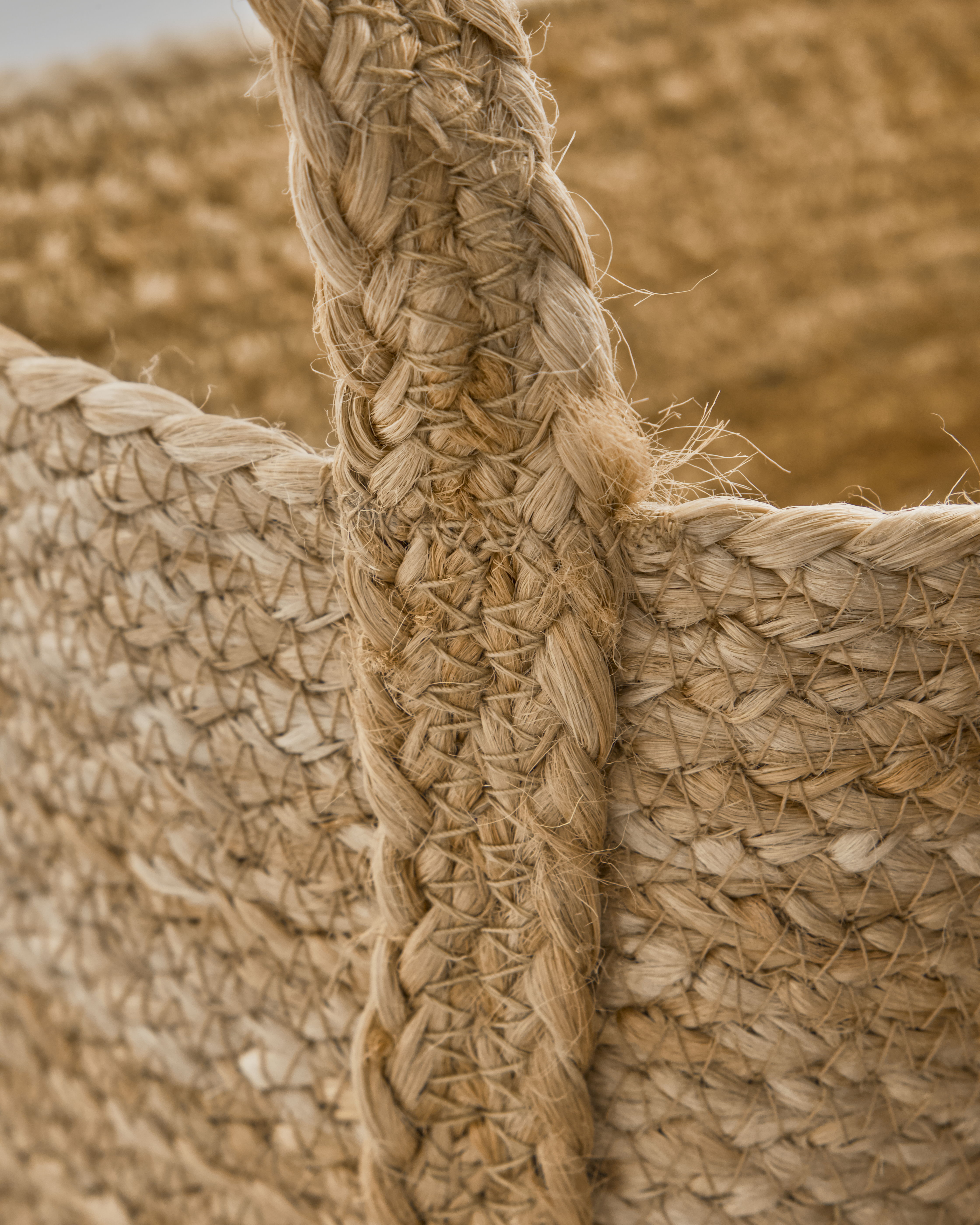 Opbevaringskurve, Stella, Natur