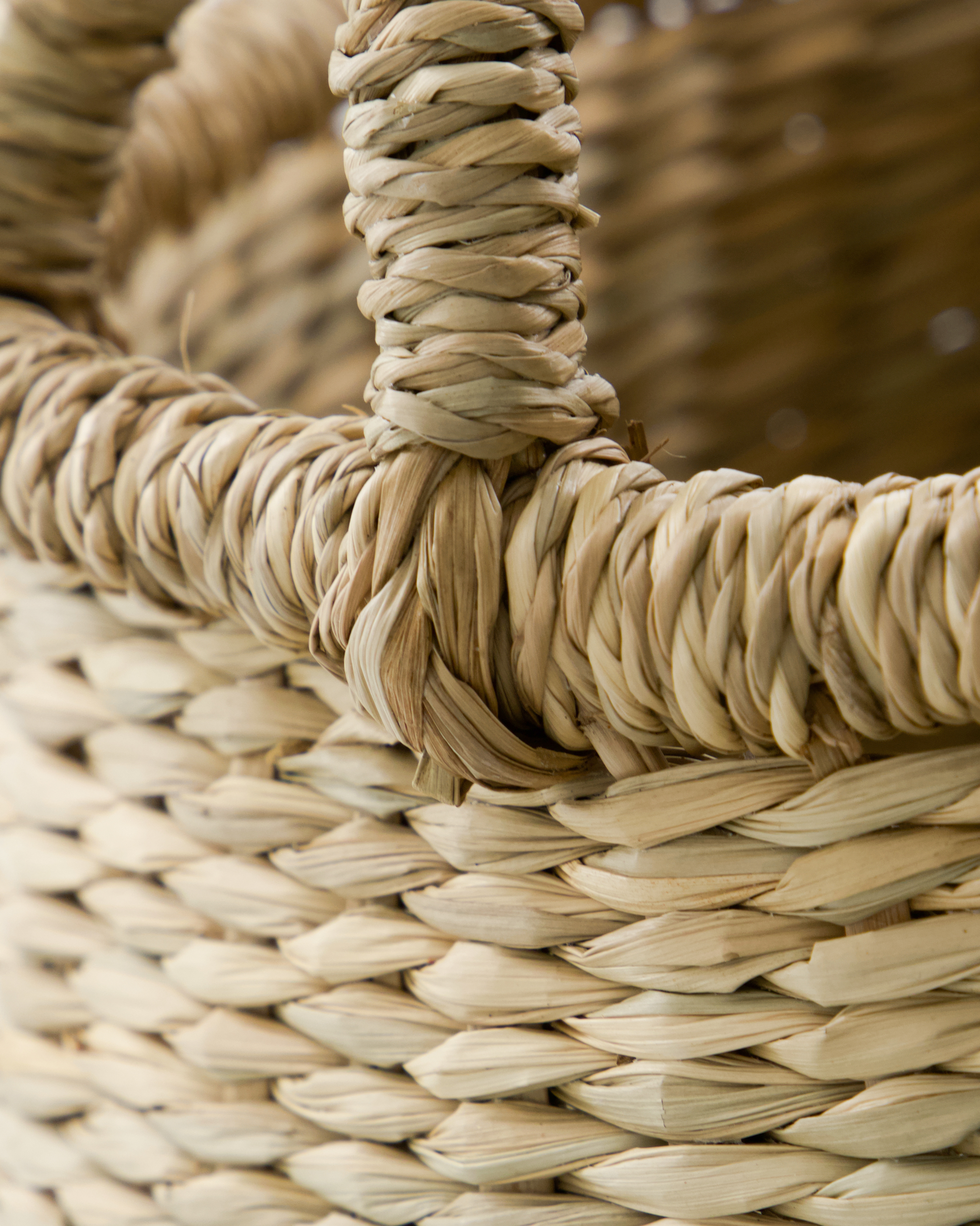 Opbevaringskurve, Cesta, Natur