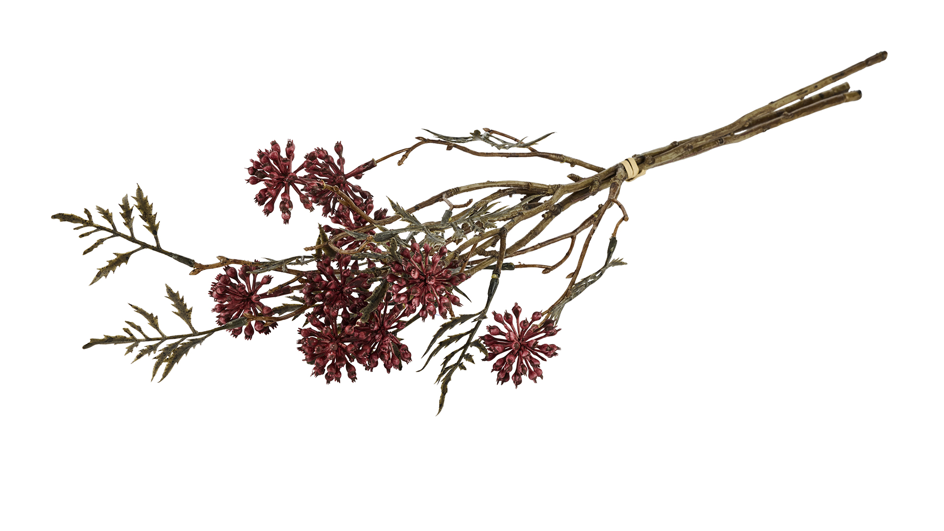 2Have - Silkeblomst Bær/bladgren 3 stk. 55 cm Grøn/Bordeaux