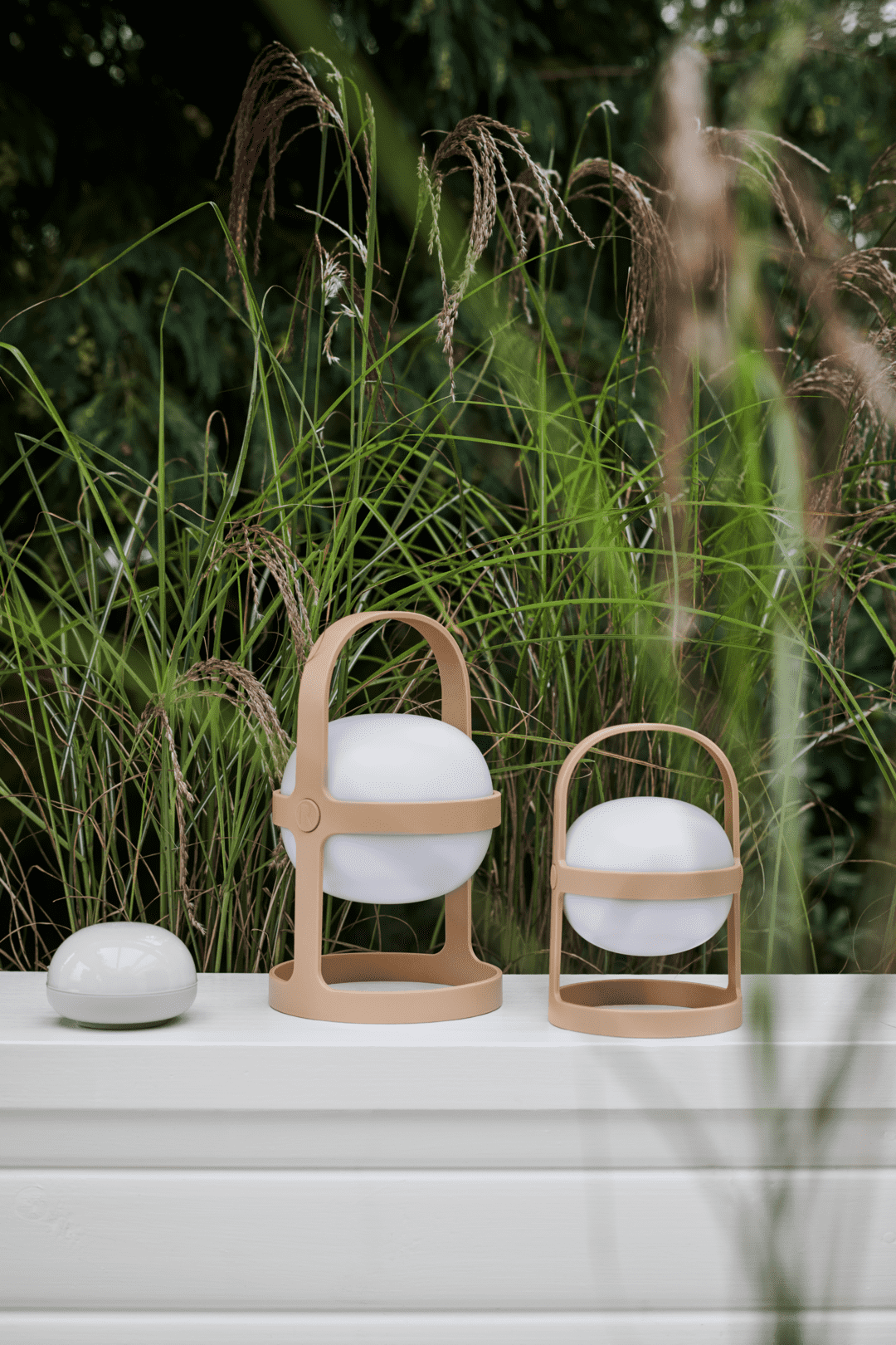 Soft Spot Solar Circular H25 wheat