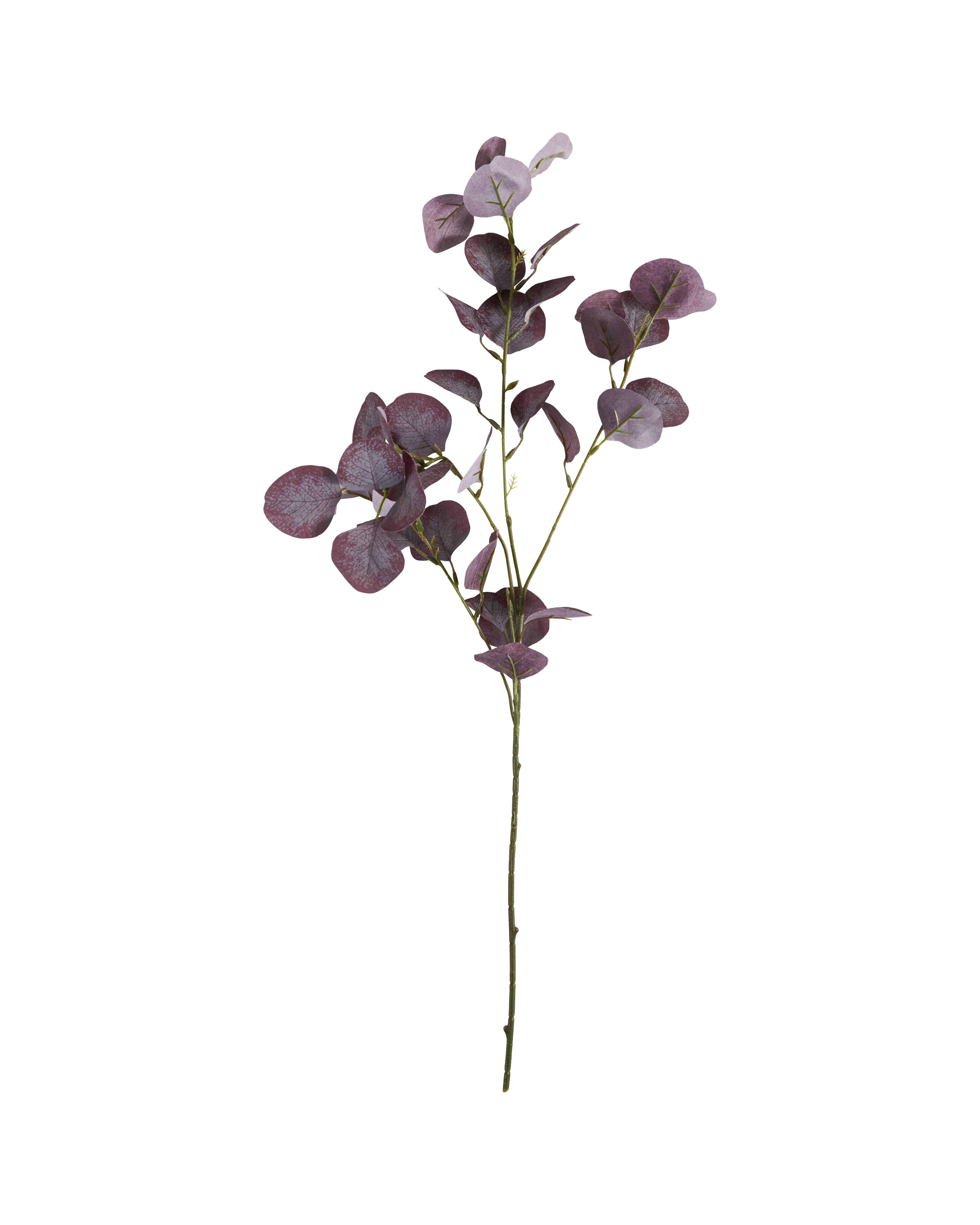 House Doctor - Artificial branch, Eucalyptus, Bordeaux