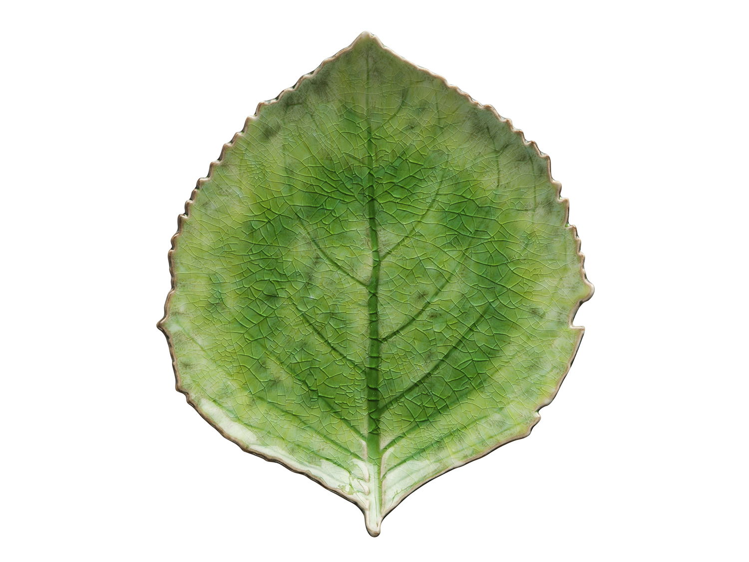 Costa Nova - Tallerken hortensia Riviera 22 x 19 cm Grøn/Sort Keramik