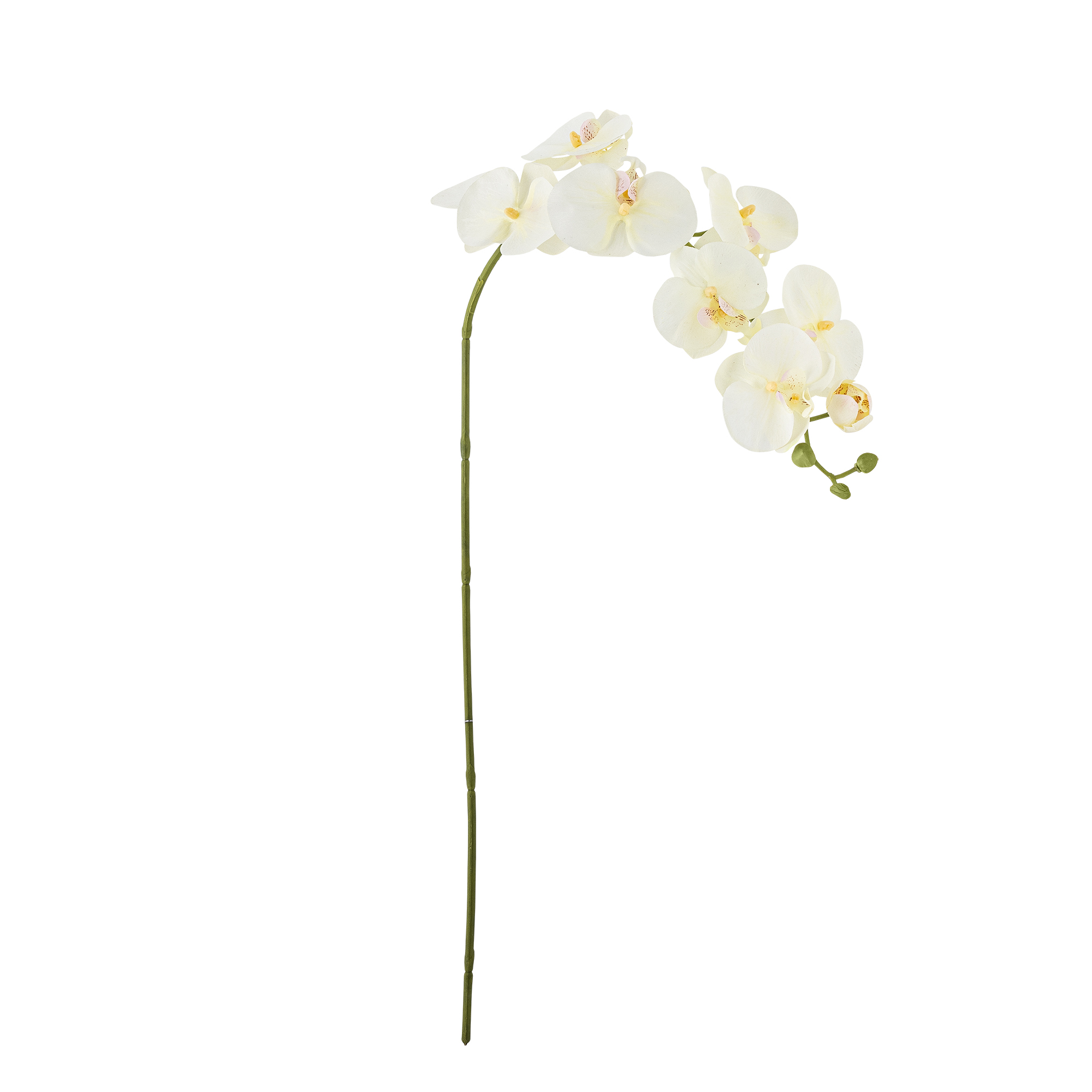 Bloomingville - Orchid Stilk, Hvid, Kunstige Blomster, D18xH94 cm
