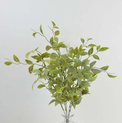 Wisteria leaf bush, 54 cm, green