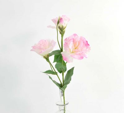 Lisianthus, 53 cm, pink